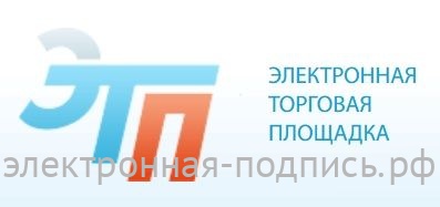 Etp электронно торговая площадка. Электронные торговые площадки. ЭТП.